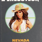 Nevada Story – Der Henker Gérard De Villers – Don Pendleton – Buch