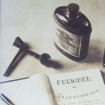Pedigree - Georges Simenon - 1989 - livre