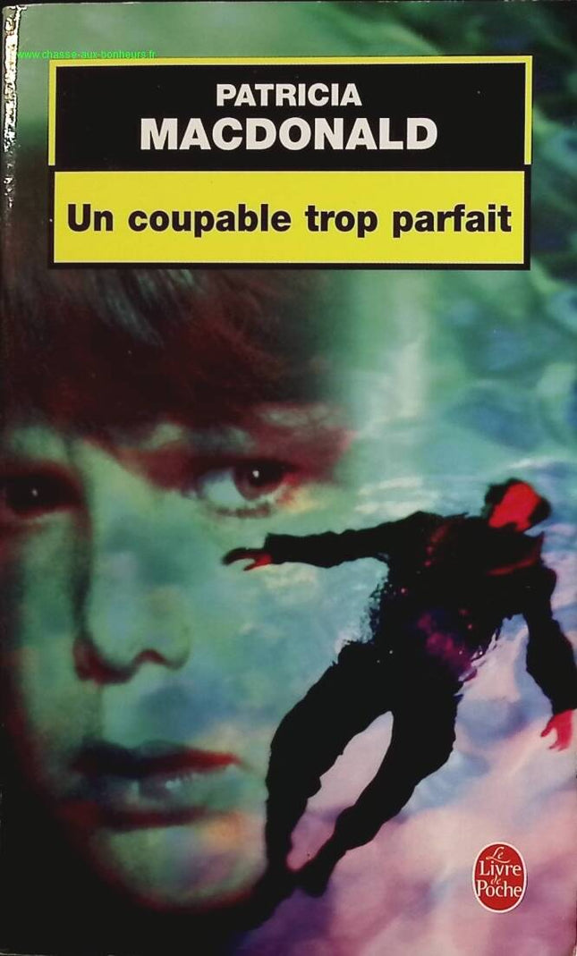 A Perfect Culprit - Patricia Mac Donald - book