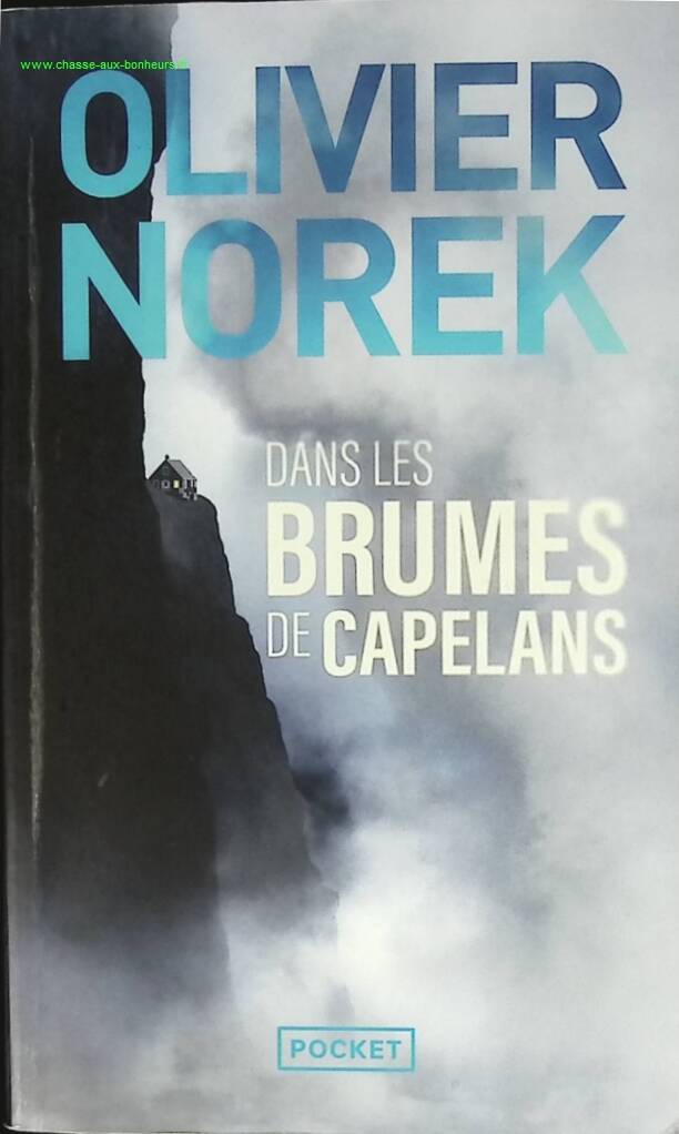 Dans les brumes de Capelans - Olivier Norek - livre