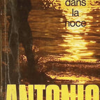 A Bone in the Wedding - San-Antonio - book