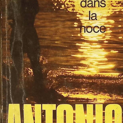 A Bone in the Wedding - San-Antonio - book