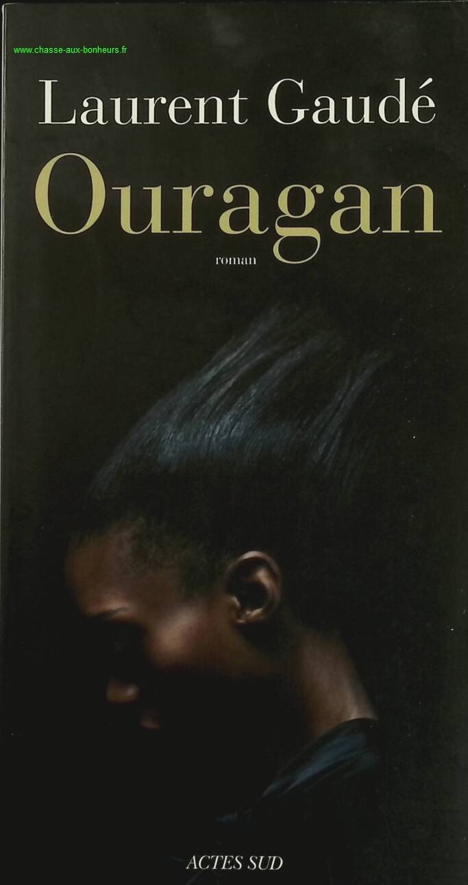 Hurricane - Laurent Gaudé - book