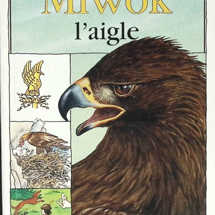 Miwok the Eagle - Logbook - book