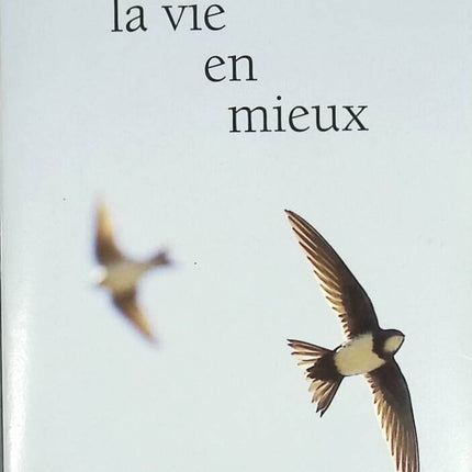 La Vie en mieux - Anna Gavalda - livre