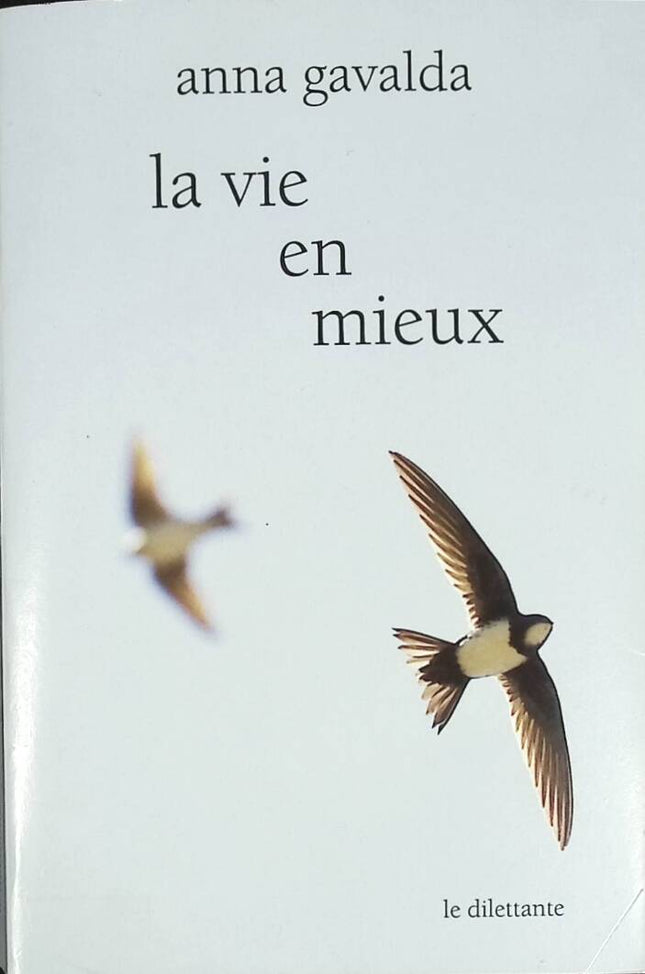 Life for the Better - Anna Gavalda - 2014 - book