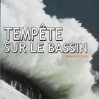 Tempête sur le bassin - Patrice Vergès - Livre