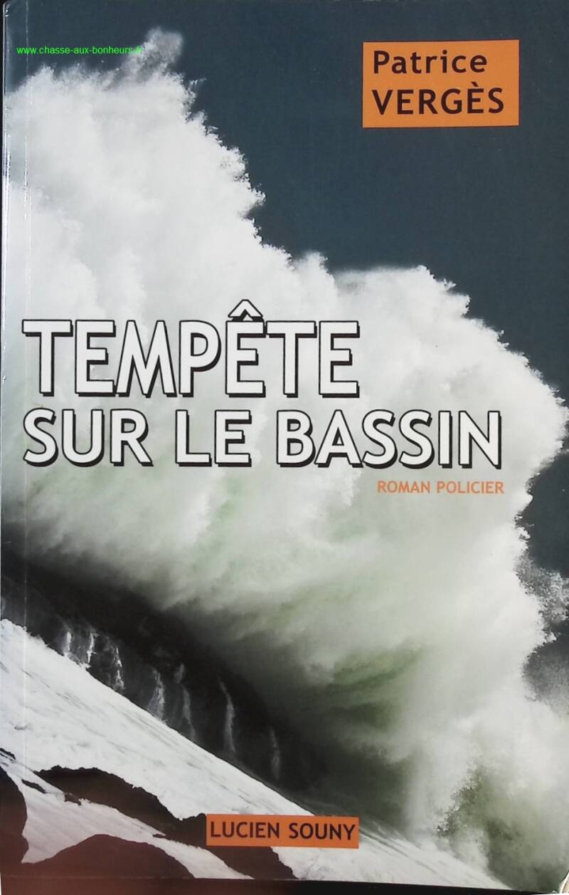 Storm over the Basin - Patrice Vergès - Book