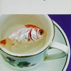 Imperfect Disagreements - Jonathan Coe - 2013 - book