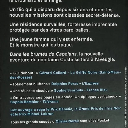 Dans les brumes de Capelans - Olivier Norek - livre