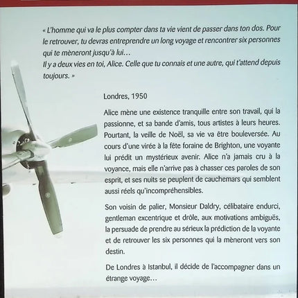 L'Étrange Voyage de Monsieur Daldry - Marc Levy - livre