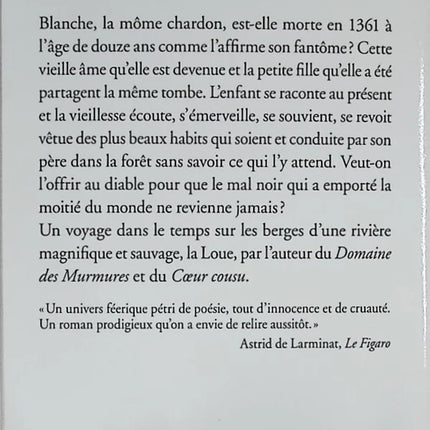 La Terre qui penche - Carole Martinez - livre