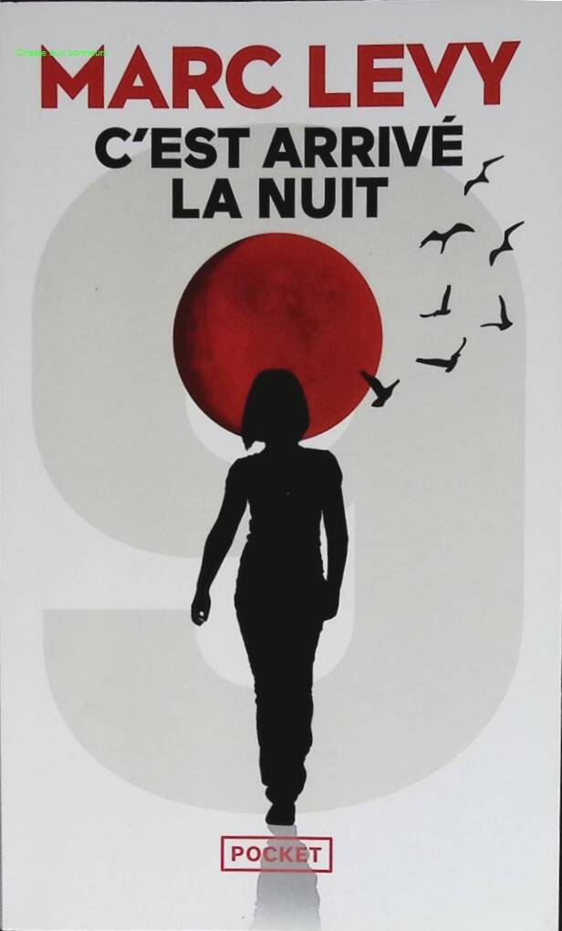C'est arrivé la nuit - Marc Levy - 2023 - livre