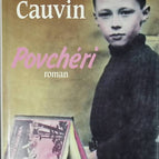 Povchéri - Patrick Cauvin - livre