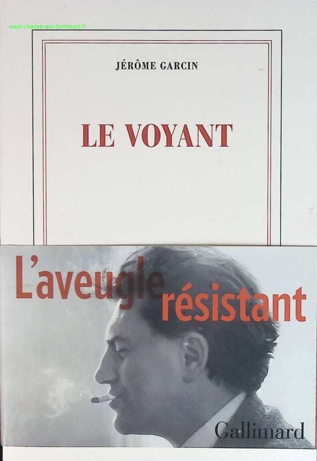 Le voyant - Jérôme Garcin - livre