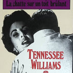 Endstation Sehnsucht, gefolgt von Die Katze auf dem heißen Blechdach – Tennessee Williams – 1984 – Buch