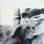 The Red Necklace - Jean-Christophe Rufin - 2015 - book