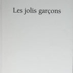 Les jolis garçons - Delphine de Vigan - 2005 - livre