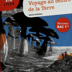 Reise zum Mittelpunkt der Erde – Fortsetzung der „Science and Fiction“-Reise – Jules Verne – 2019 – Buch