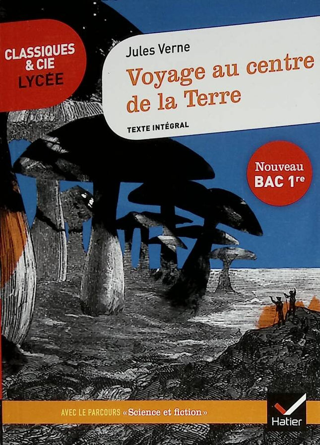 Reise zum Mittelpunkt der Erde – Fortsetzung der „Science and Fiction“-Reise – Jules Verne – 2019 – Buch