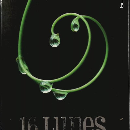 Beautiful Creatures - Volume 1 - 16 Moons - Kami Garcia, Margaret Stohl - Book
