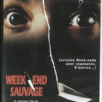 Wild Weekend - Don Stroud - VHS video cassette K7