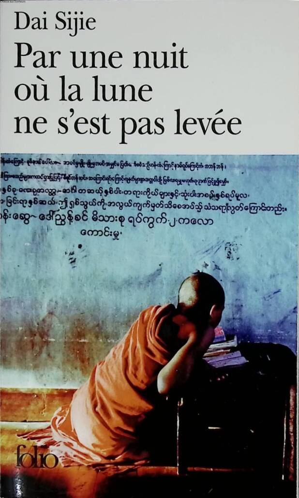 On a Night When the Moon Did Not Rise - Sijie Dai - 2008 - book