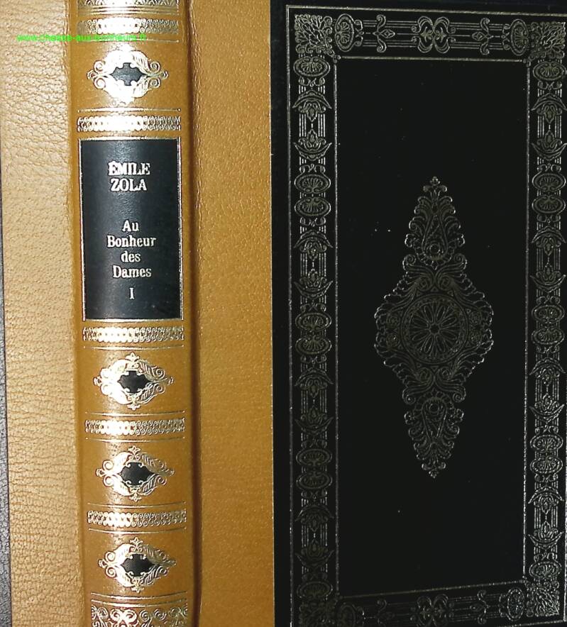 The Ladies' Paradise Volume 1 - Emile Zola - book