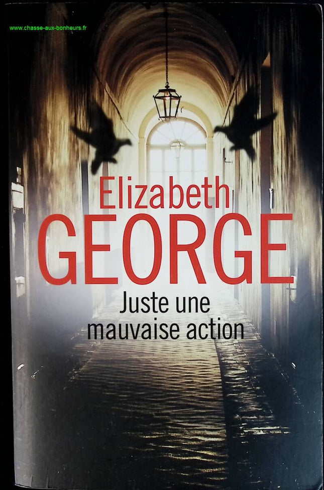 Nur eine schlechte Tat - Elizabeth George - Buch
