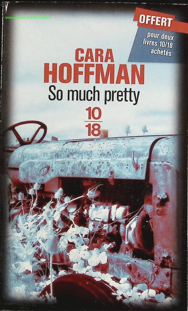 So much pretty - Cara Hoffman - Book
