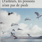Besides, fish don't have feet - Jón Kalman Stefánsson - book