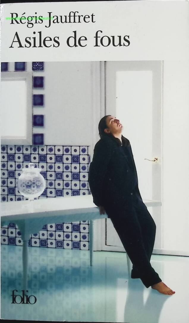 Insane Asylums - Régis Jauffret - book
