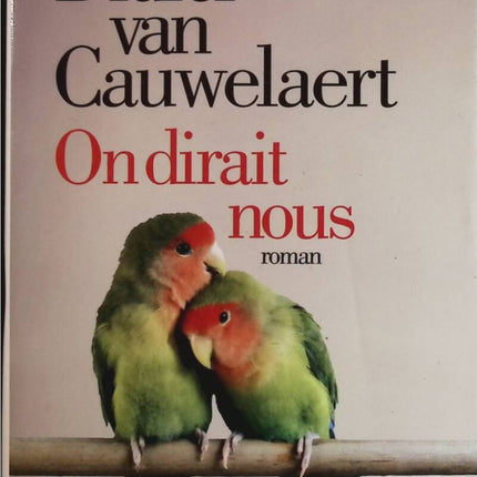 Es sieht aus wie wir – Didier van Cauwelaert – Buch