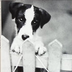 A pedigree - Patrick Modiano - book