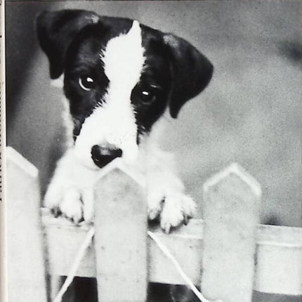 A pedigree - Patrick Modiano - book