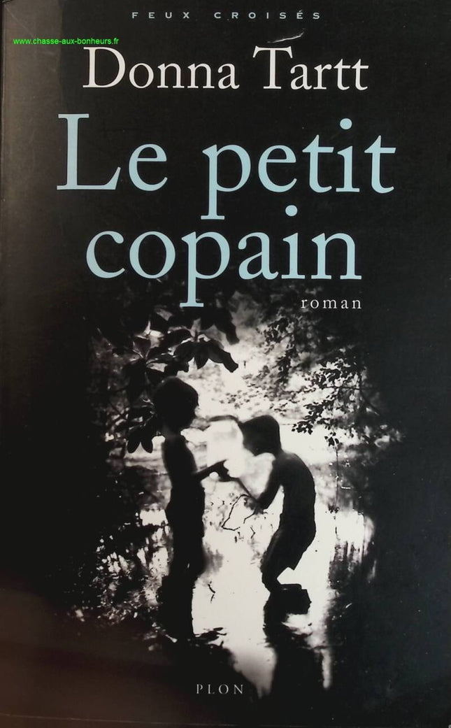 The Little Boyfriend - Donna Tartt - book