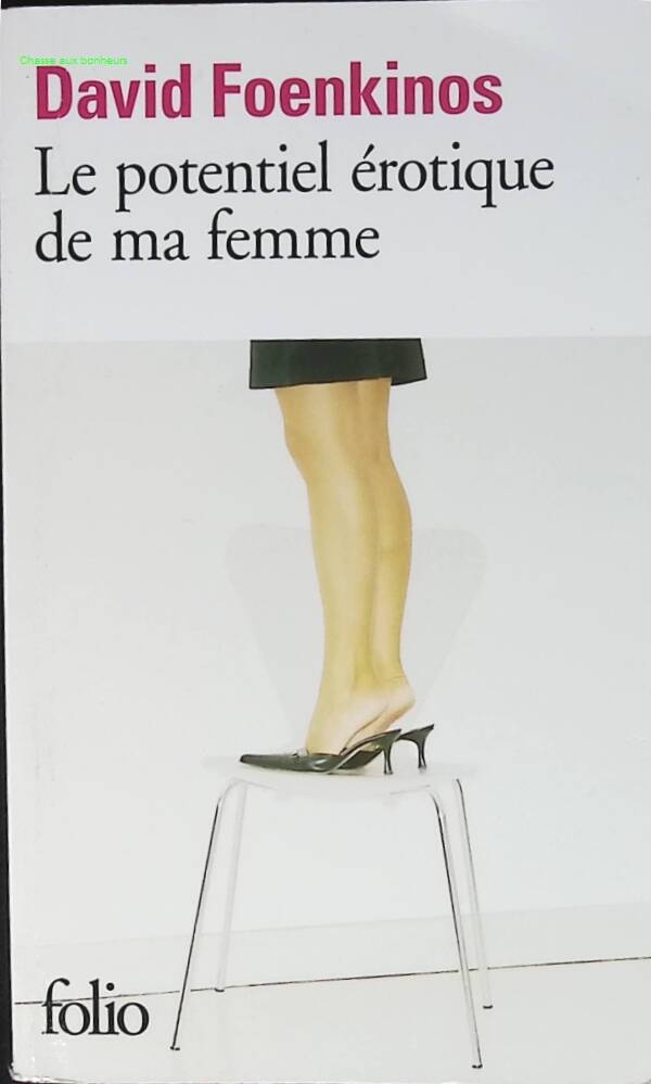 The Erotic Potential of My Wife - David Foenkinos - book
