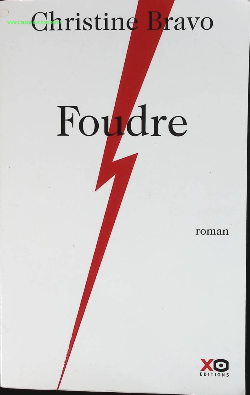 Lightning - Christine Bravo - book