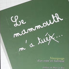 Le Mammouth m'a tuer - Témoignage d'un instit' en banlieue - Bernard Viallet - livre