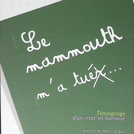 Le Mammouth m'a tuer - Témoignage d'un instit' en banlieue - Bernard Viallet - livre