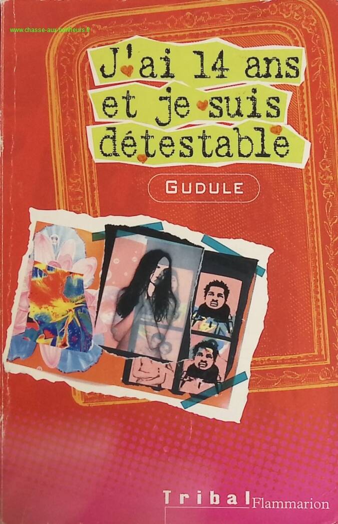 I'm 14 and I'm detestable - Gudule - book