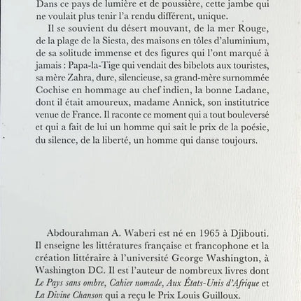 Warum tanzt man beim Gehen? - Abdourahman A. Waberi - Buch