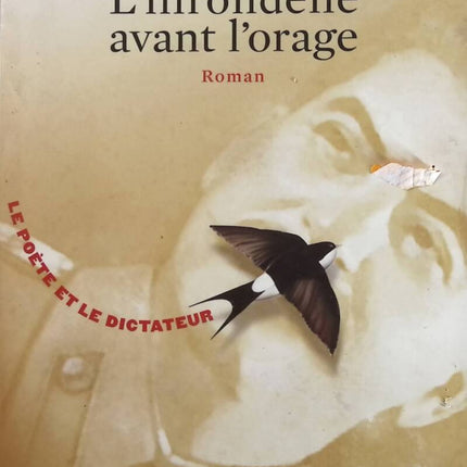 L’Hirondelle avant l’orage – Robert Littell – Roman d’espionnage et suspense géopolitique d’occasion - livre