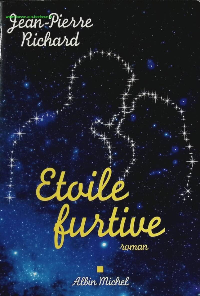 Stealth Star - Jean-Pierre Richard - Buch