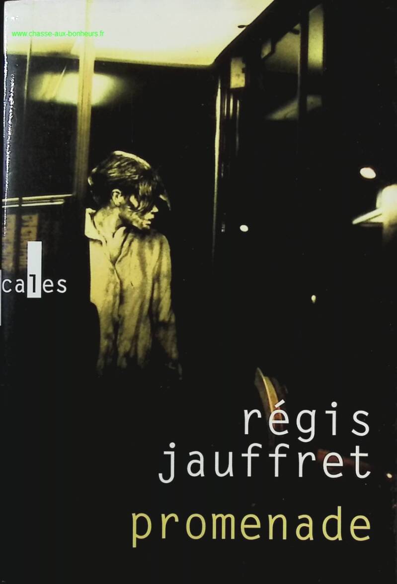 Walk - Régis Jauffret - Book