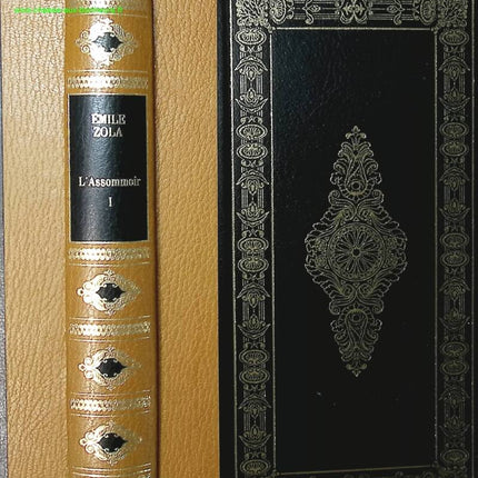 L'assommoir Tome 1 - Emile Zola - livre