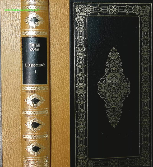 L'assommoir Band 1 - Emile Zola - Buch