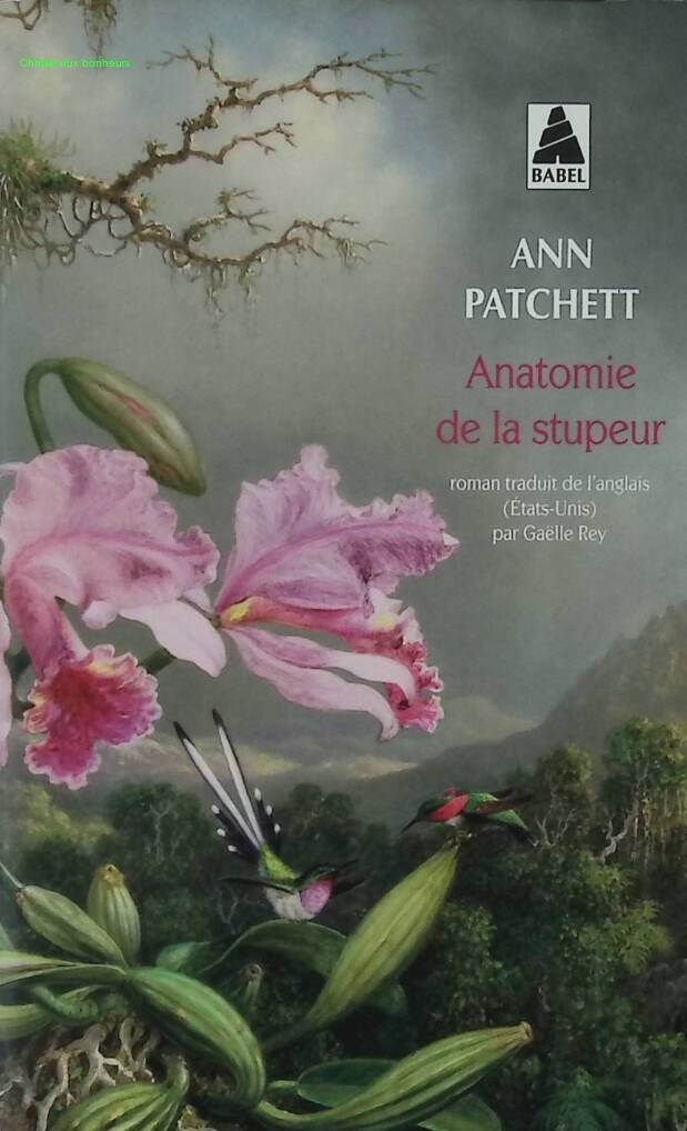Anatomy of Stupor - Ann Patchett - book