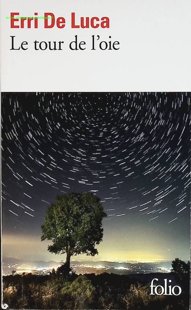 Die Gänsetour - Erri De Luca - Buch
