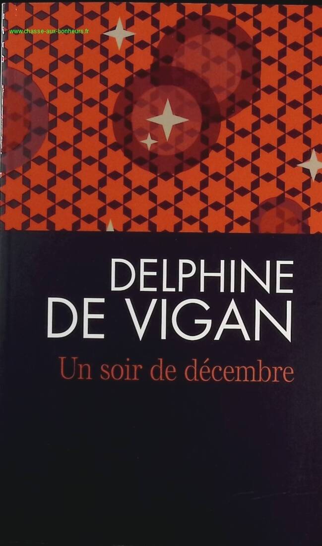 One December Evening - Delphine DE VIGAN - book